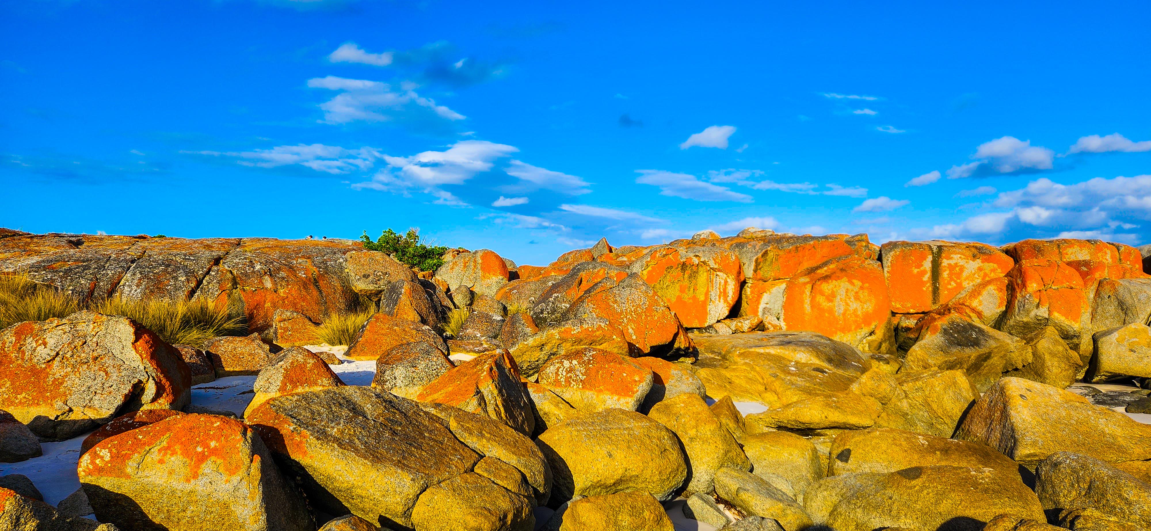 Bay of Fires at Suicide Beach